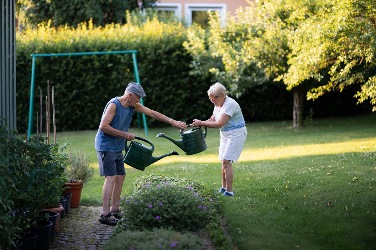 A retired couple water the flower beds in their back garden on a summer evening, each carrying a green watering can