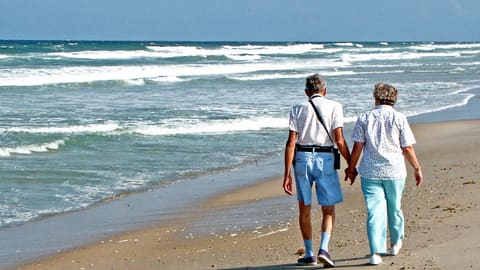An older couple walk hand in hand along the shoreline of a Florida beach, seen from behind
